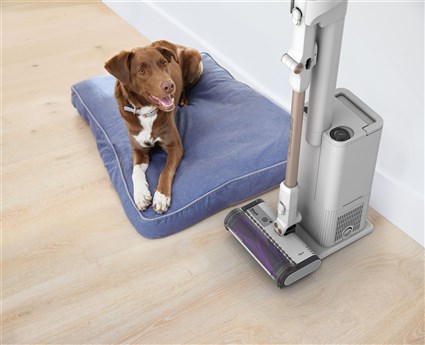 IW3612EU ASPIRADORA DE ESCOBA SIN CABLE SHARK DETECT CLEAN & EMPTY + VACIADO AUTOMÁTICO | SHARK - Imagen 13